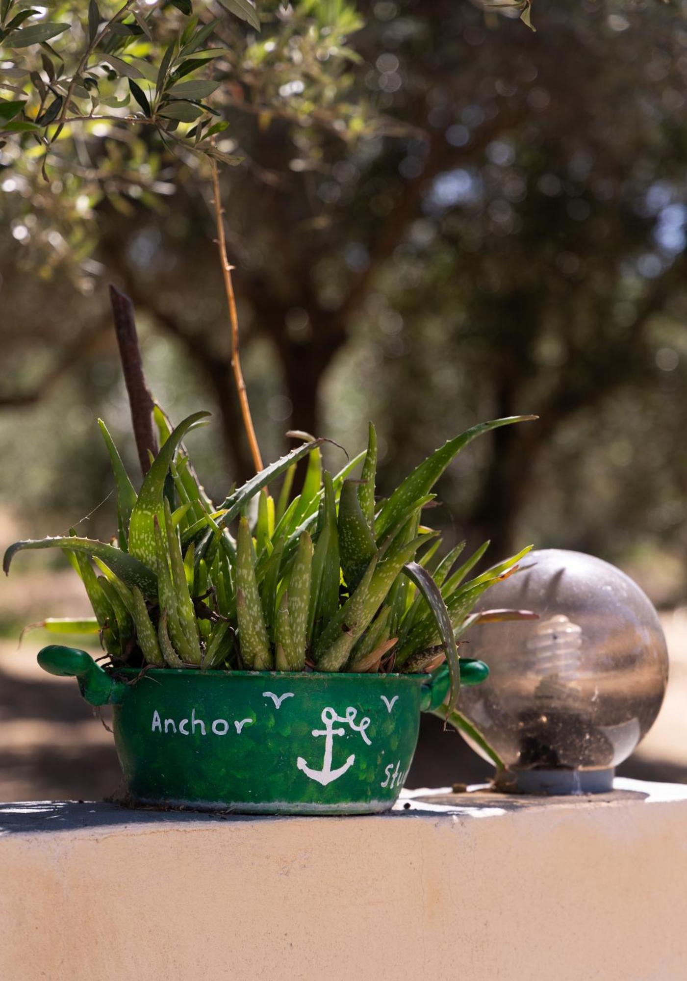 Appartamento Anchor *