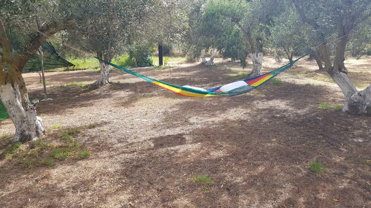 Anchor דירה ליקסורי